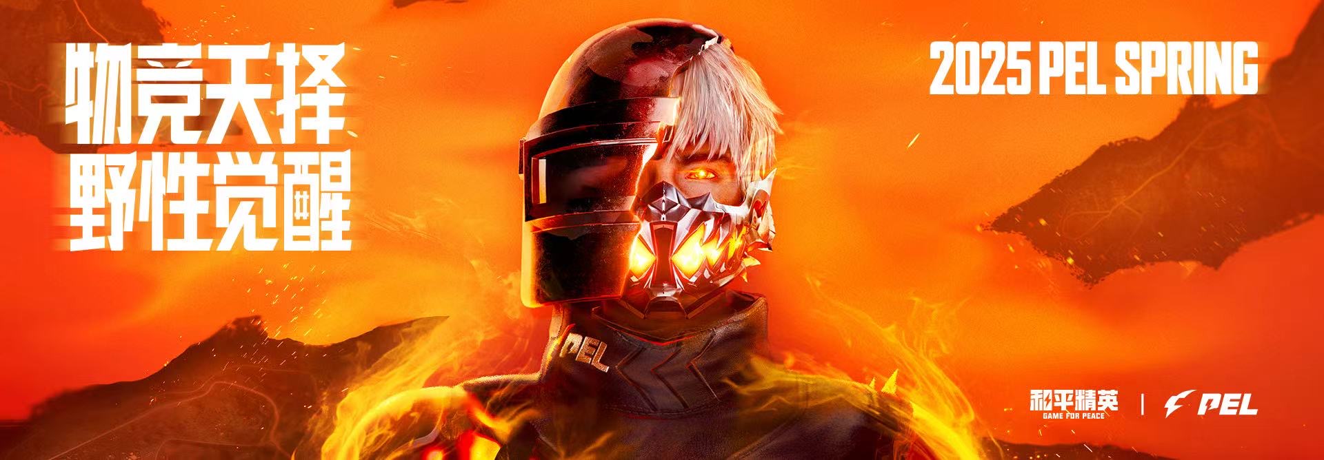 和平精英KS稳定版外挂